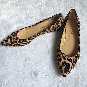 Ivanka Trump Leopard Hair Pointed Toe Flats